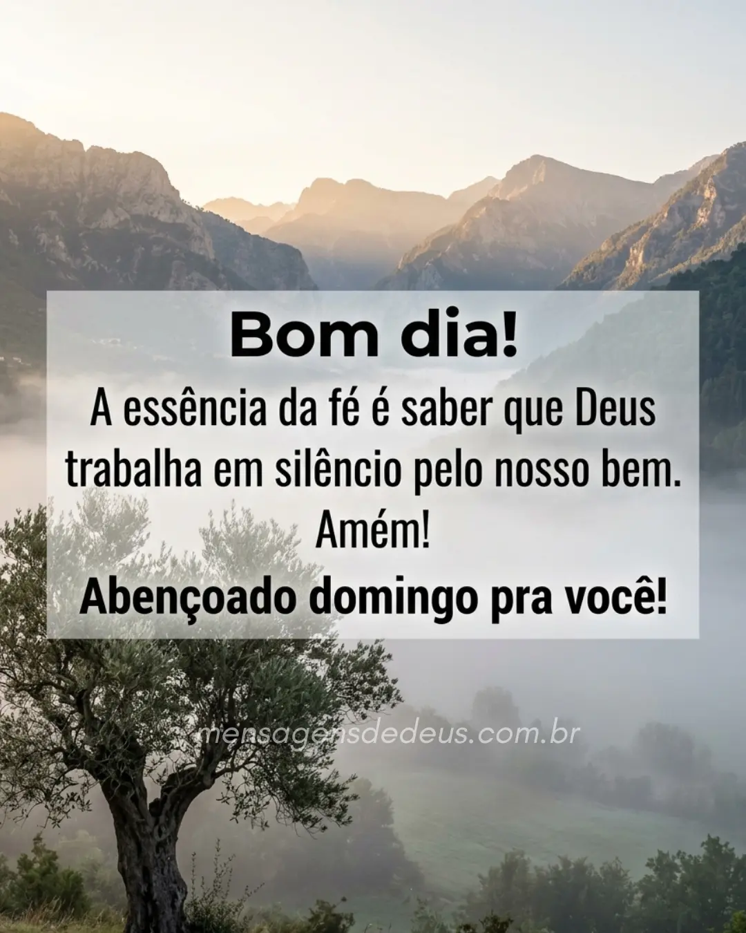 Bom dia! A essência da fé é saber que Deus trabalha em silêncio pelo nosso bem. Amém! Abençoado domi