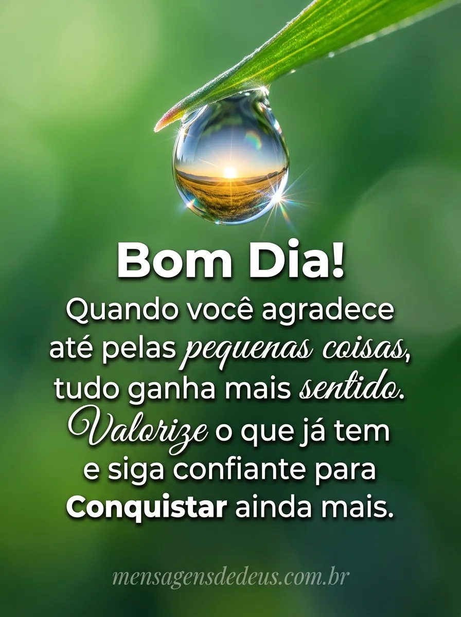 Gratidão pelas coisas simples da vida