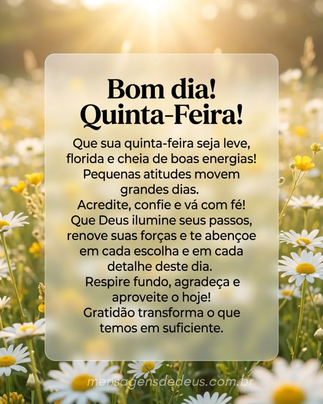 Bom dia! Quinta-Feira! Que sua quinta-feira seja leve, florida e cheia de boas energias! Pequenas at
