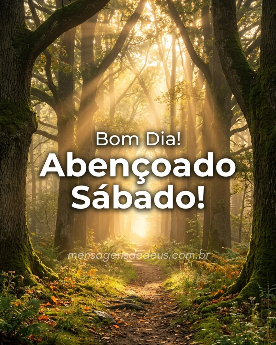Bom Dia! Abençoado Sábado!