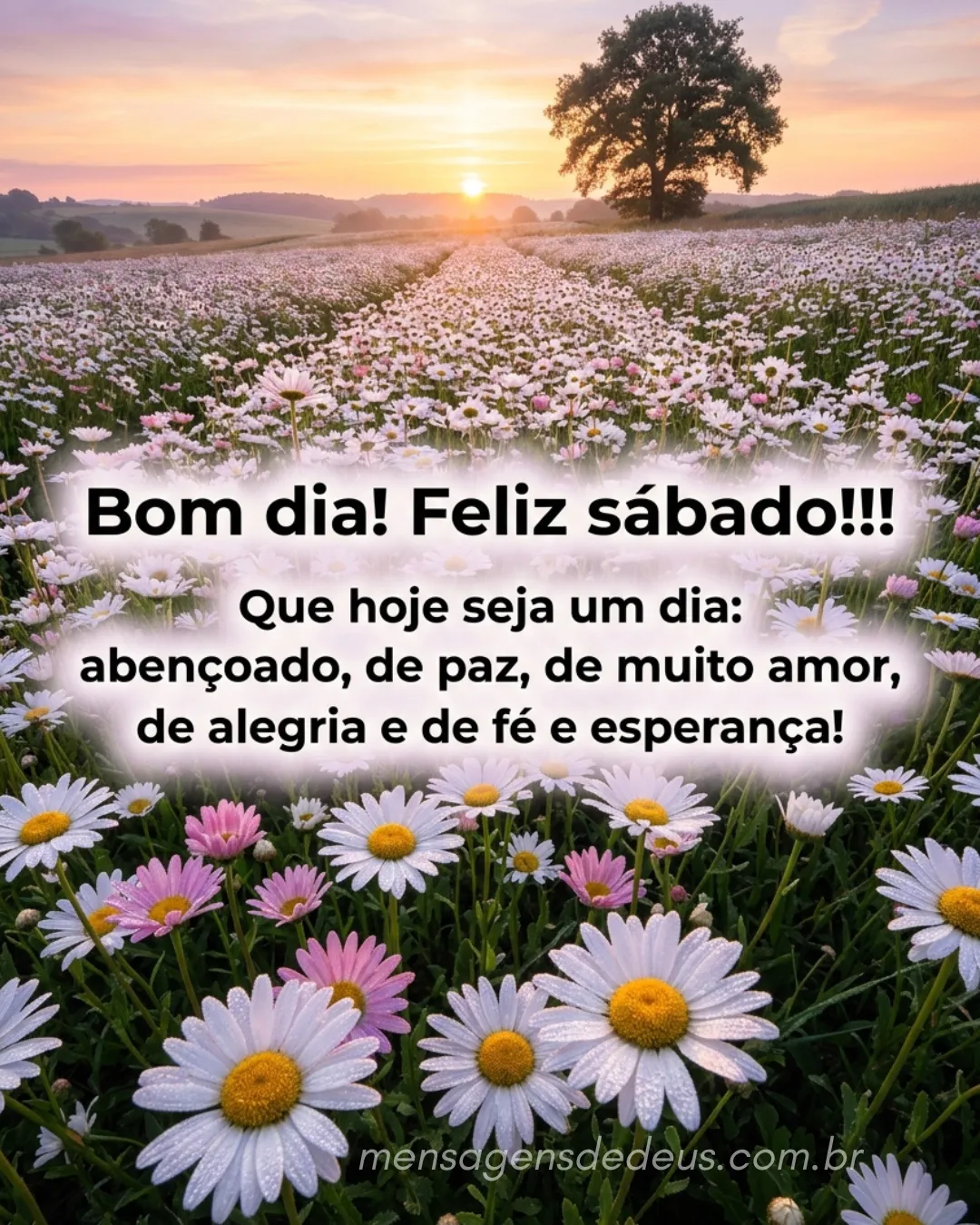 Bom dia! Feliz sábado!!! Que hoje seja um dia: abençoado, de paz, de muito amor, de alegria e de fé 